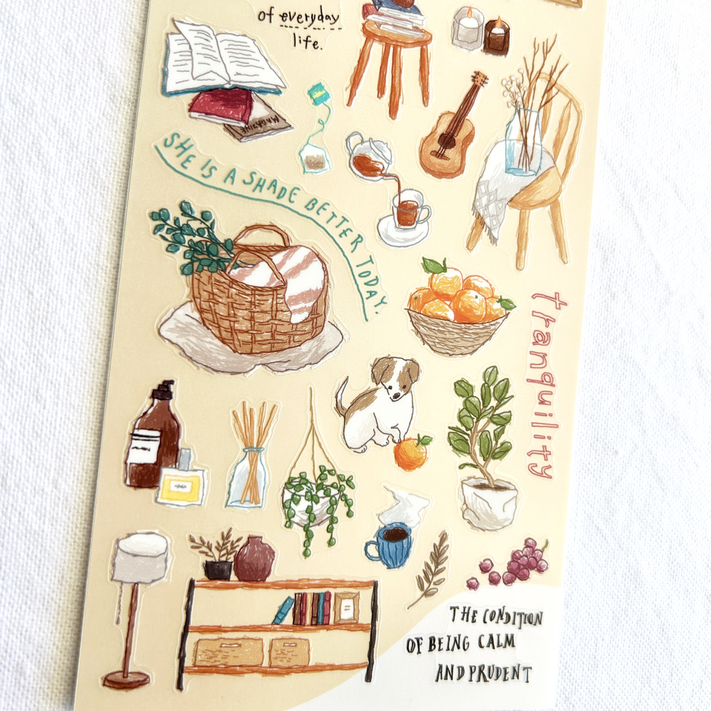 Mind Wave Choosy Life - Interior sticker sheet. Perfect for decorating planners, journals, or scrapbooks.