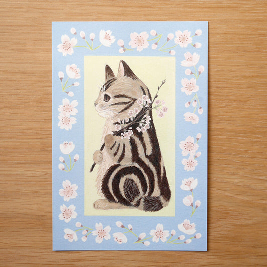 4Legs Postcard - American Shorthair Cat