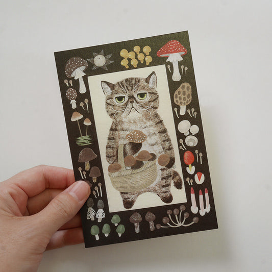 4Legs Postcard - Exotic Shorthair Mushroom Cat