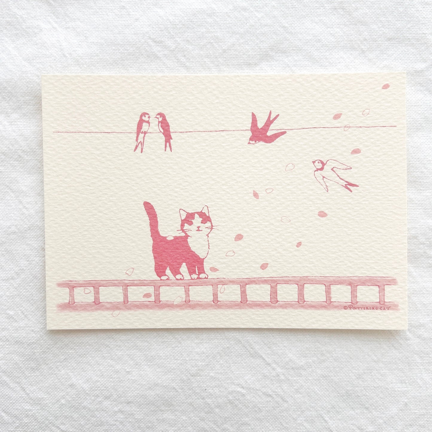 Pottering Cat Postcard - Sakura Cherry Blossoms