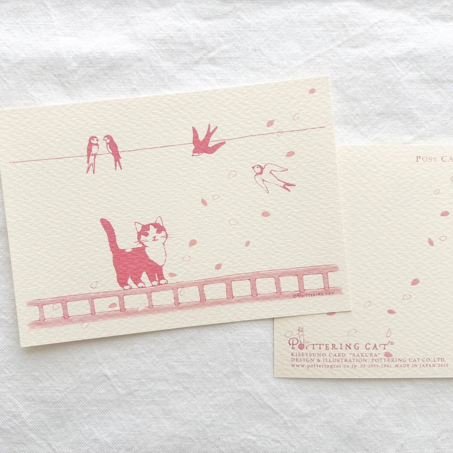 Pottering Cat Postcard - Sakura Cherry Blossoms