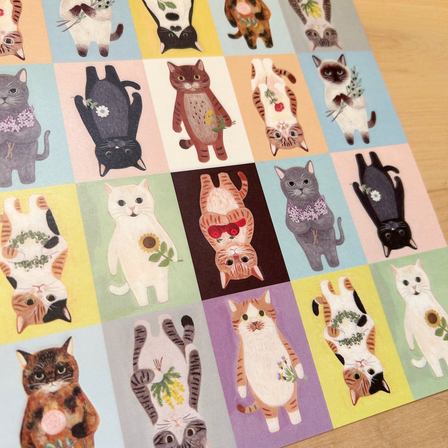 4Legs Cats Wrapping Paper