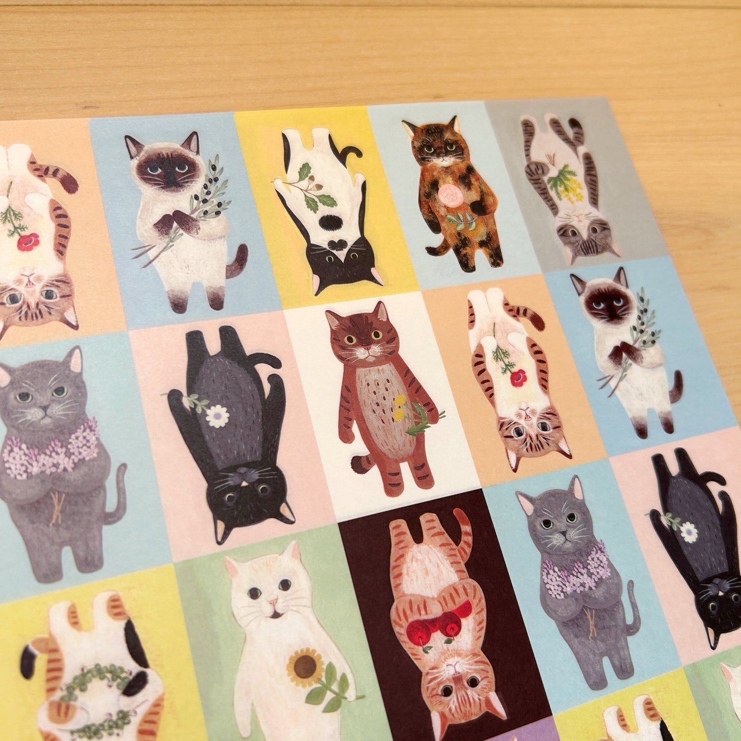 4Legs Cats Wrapping Paper